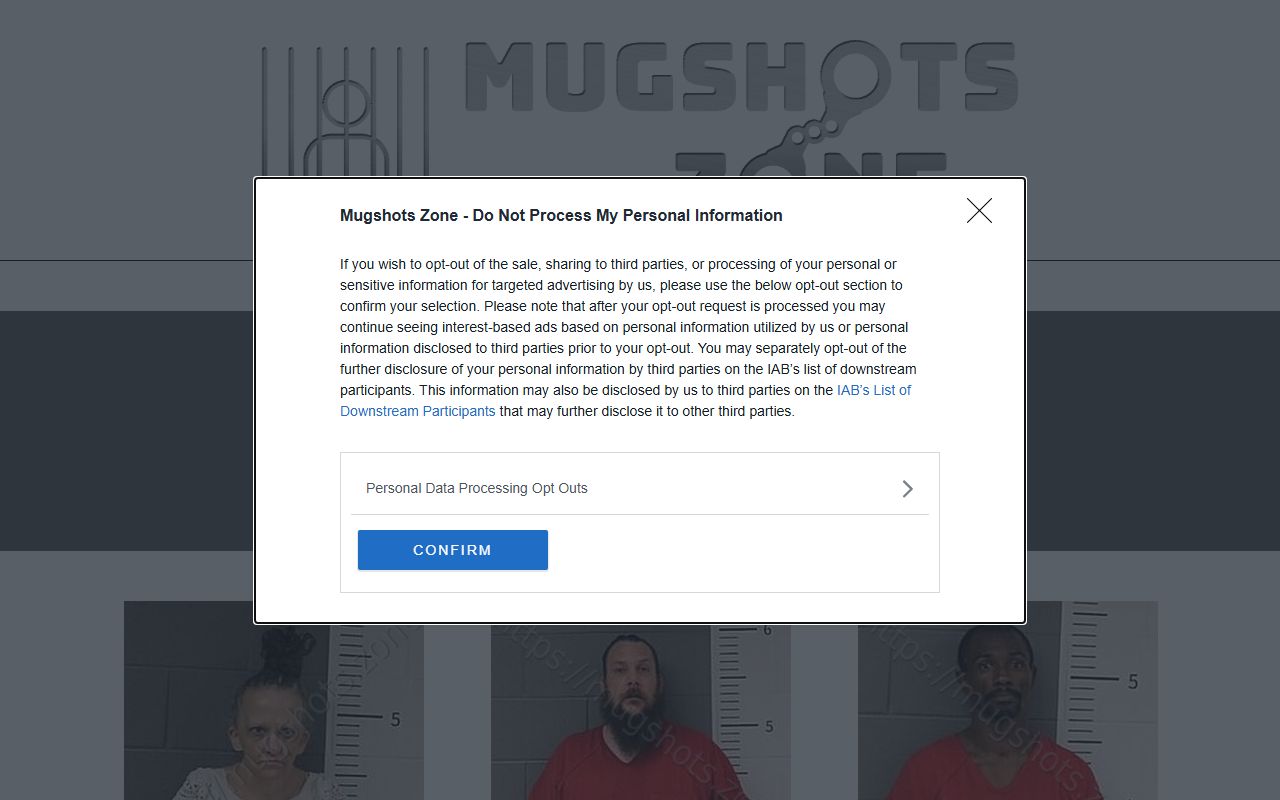 Wrong-state St. Clair Alabama Mugshots.zone page used to document an Illinois mismatch